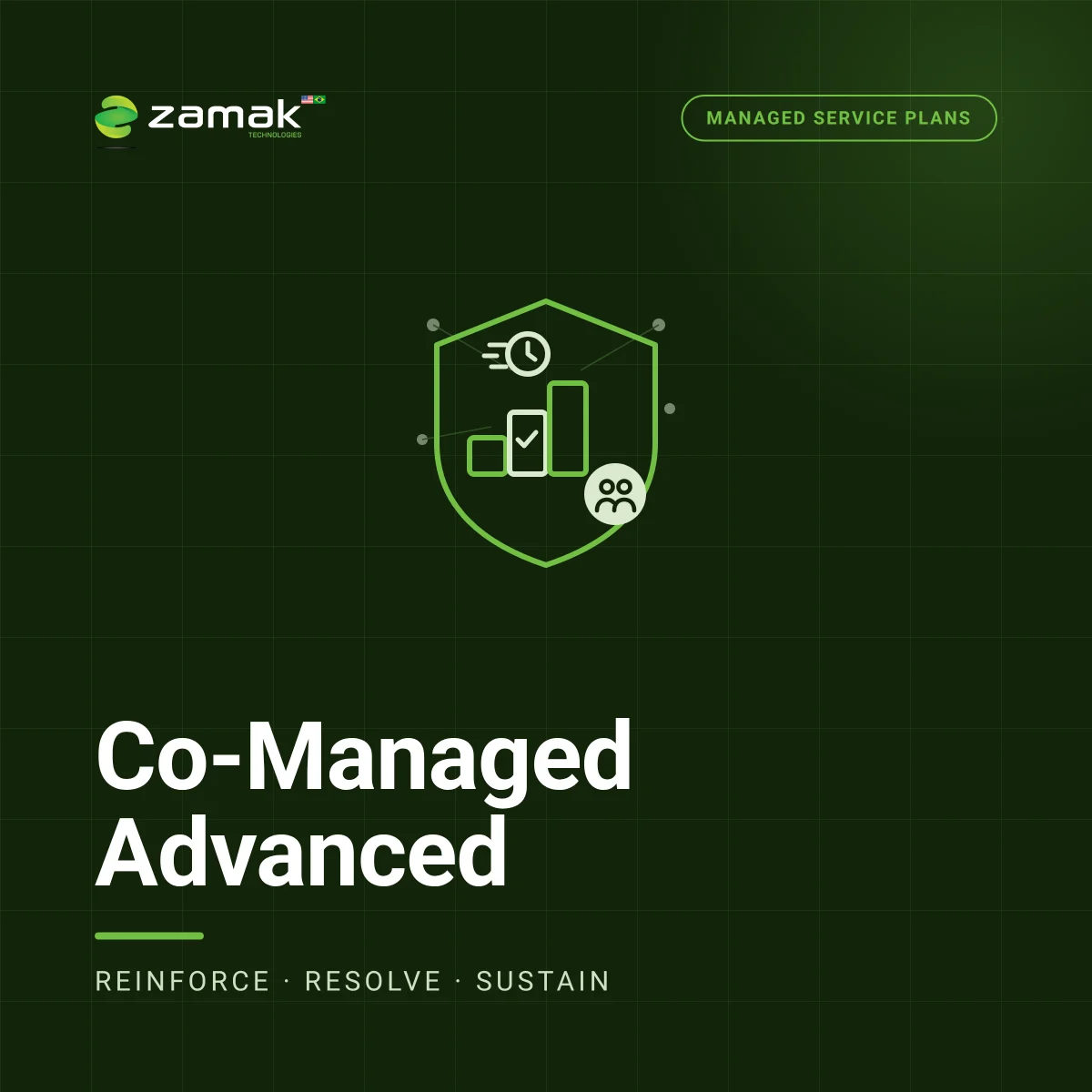 Co-Managed Advanced Plan