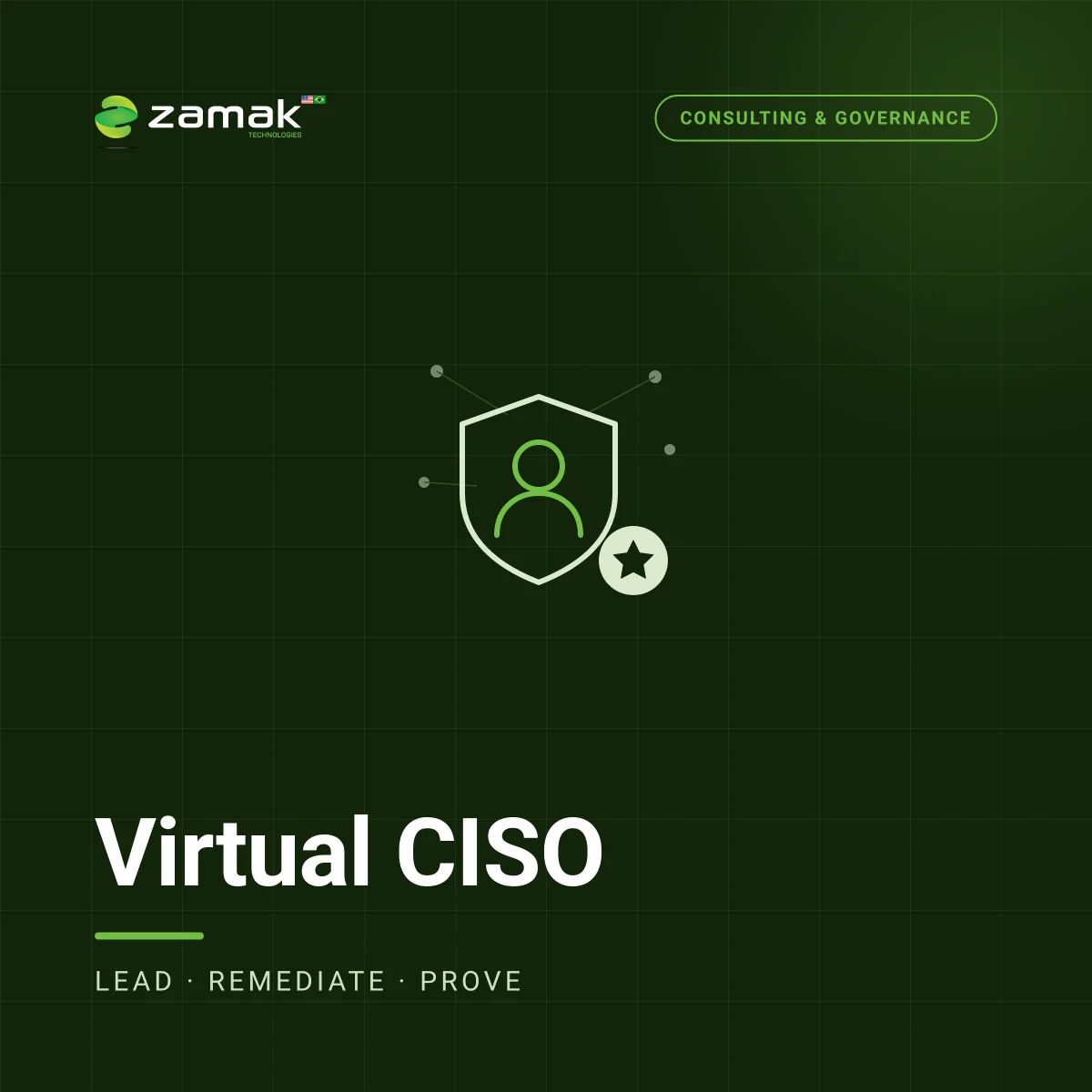 Virtual CISO (vCISO)